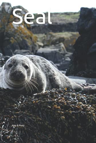 Seal: Writing Journal For Men, Women & Kids, Journal Blank Pages, Diary & Notebook