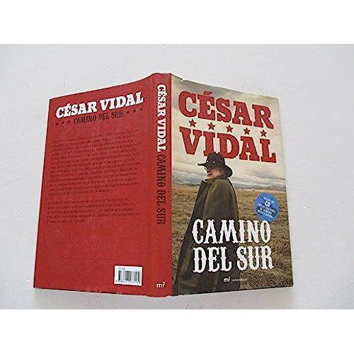 Camino Del Sur With Cd (Audio)