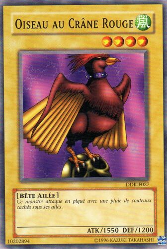 Oiseau Au Crane Rouge  -  Ddk-F027