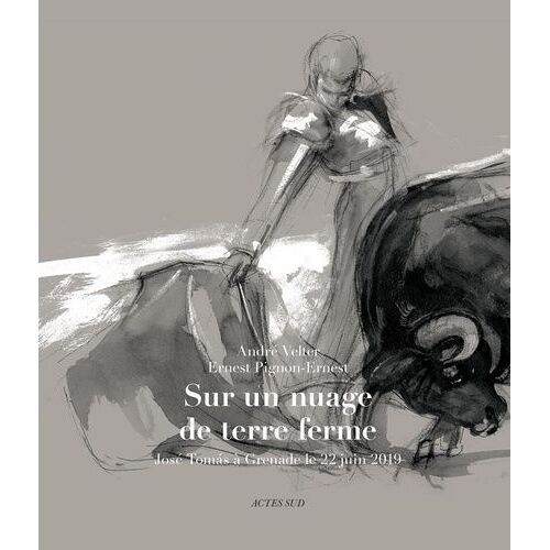 Sur Un Nuage De Terre Ferme - José Tomas À Grenade Le 22 Juin 2019