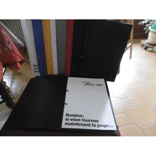 Chemises De Présentation Polypropylène Avec Patte De Fixation Couleurs Assorties Cheval Ordex 22050 Lot De 9