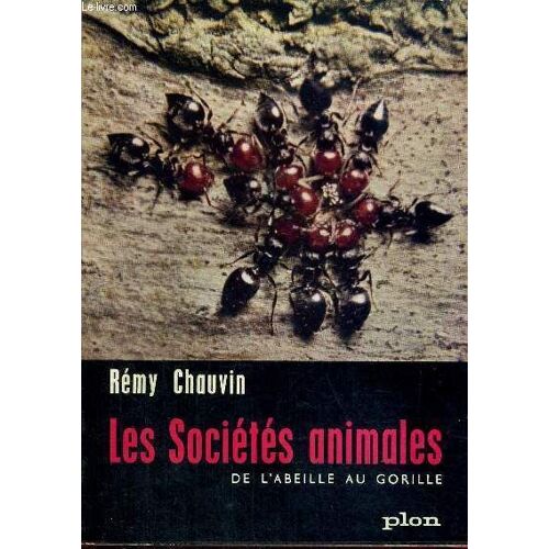 Les Societes Animales De L'abeille Au Gorille
