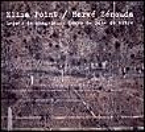 Elisa Point Herve Zenouda Lecons De Chagrin Cours De Joie De Vivre