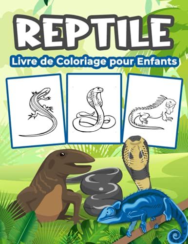 Reptiles Livre De Coloriage Pour Enfants: Grand Livre D'activités Sur Les Reptiles Pour Les Garçons, Les Filles Et Les Enfants. Cadeaux Reptiles ... Jouer Et S'amuser Avec Des Reptiles Mignons