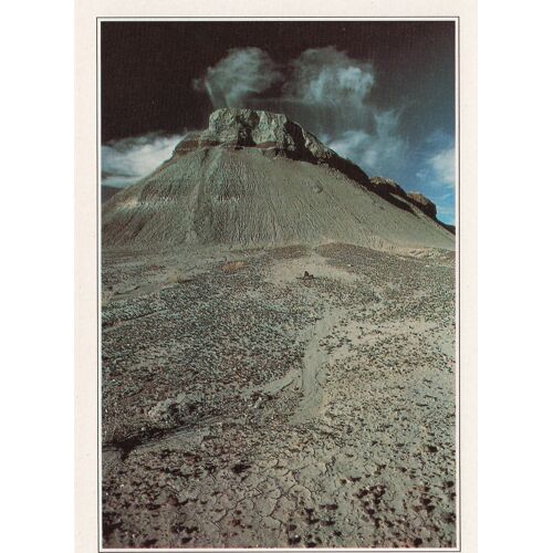 Arizona, " Parc National De Petrified Forest ", Etats-Unis.