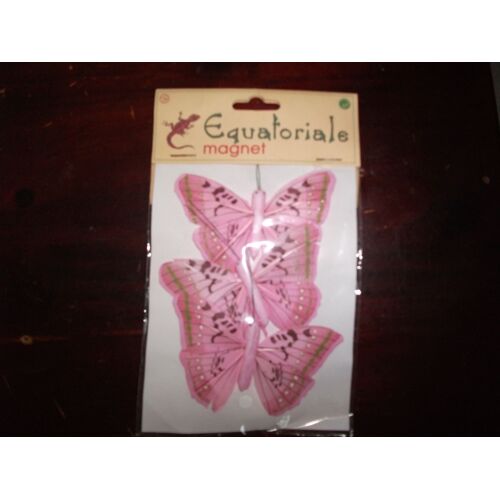 Magnet En Papillon Roses