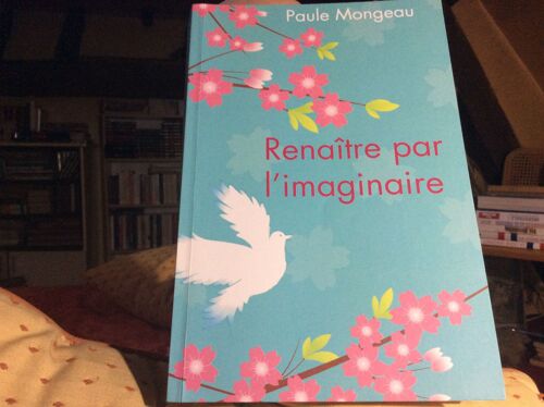 Renaître Par L'imaginaire Un Outil De Conscience (Que Se Passe-T'il Après La Mort ? 