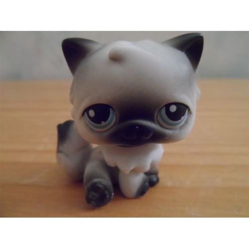 Chat Persan Petshop N° 60