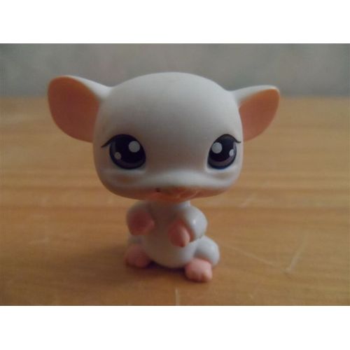 Souris Blanche Petshop N° 30