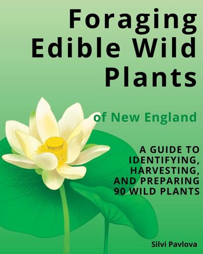 Foraging Edible Wild Plants Of New England