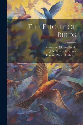 The Flight Of Birds
