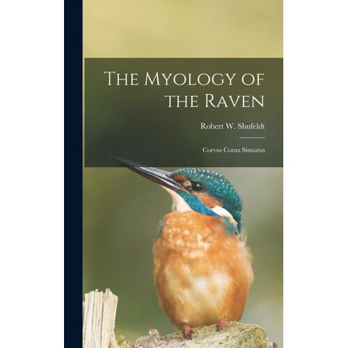 The Myology Of The Raven
