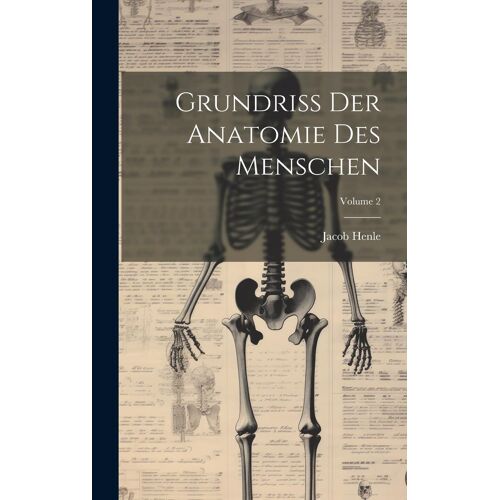 Grundriss Der Anatomie Des Menschen; Volume 2