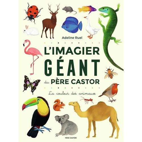 L'imagier Géant Du Père Castor - La Couleur Des Animaux