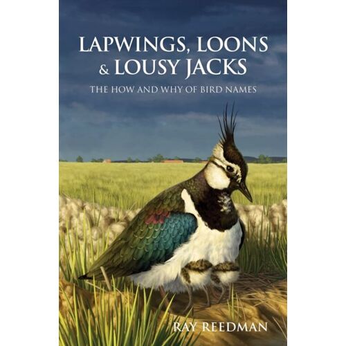 Lapwings, Loons And Lousy Jacks
