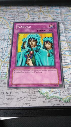 Carte Yu-Gi-Oh! Waboku Sdp-044