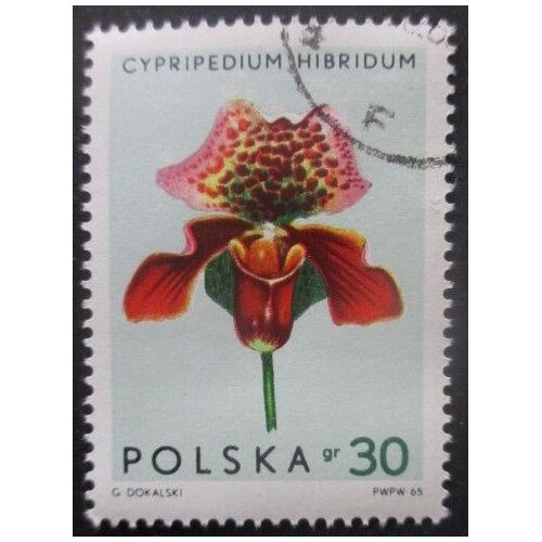 Pologne N°1464 Orchidées Oblitéré