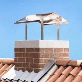 vidaXL Hotte de cheminée Argent 50 x 60 x 37 cm Acier inoxydable