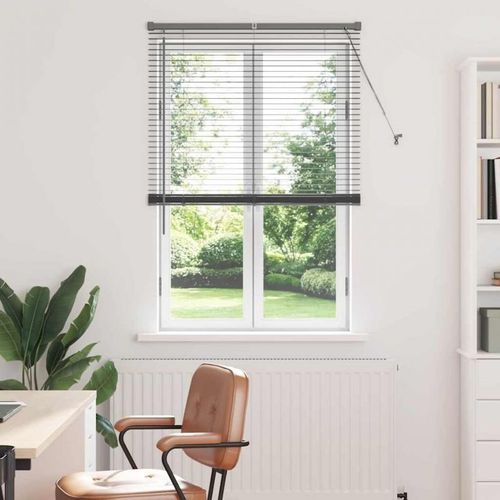 Vidaxl Store De Fenêtre Avec Des Rideaux Manuel Gris Foncé Aluminium