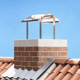 vidaXL Hotte de cheminée Argent 40 x 40 x 37.5 cm Acier inoxydable