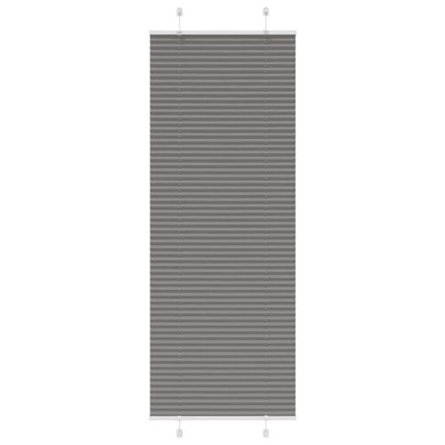 Vidaxl Store Plissé Anthracite 75x200 Cm Largeur Du Tissu 74,4 Cm