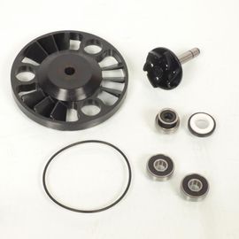 Pompe À Eau P2r Pour Scooter Piaggio 125 X9 Evolution 2003 À 2020 Neuf