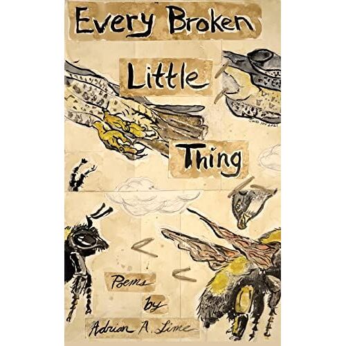 Every Broken Little Thing