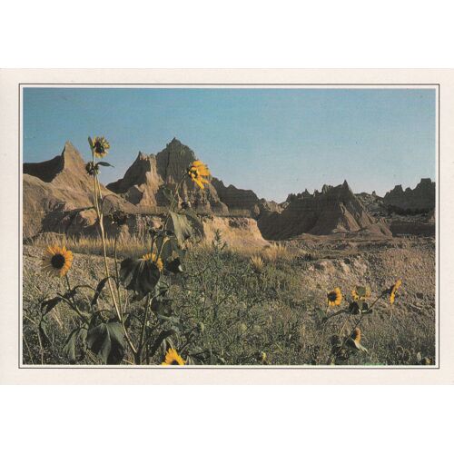 Etats-Unis, " Parc National Des Badlands ".