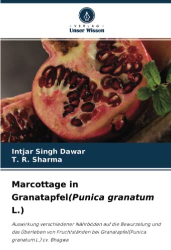 Marcottage In Granatapfel(Punica Granatum L.)