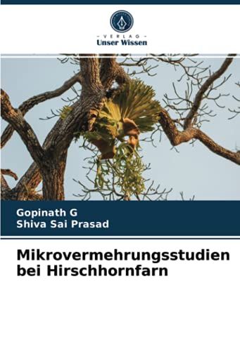Mikrovermehrungsstudien Bei Hirschhornfarn