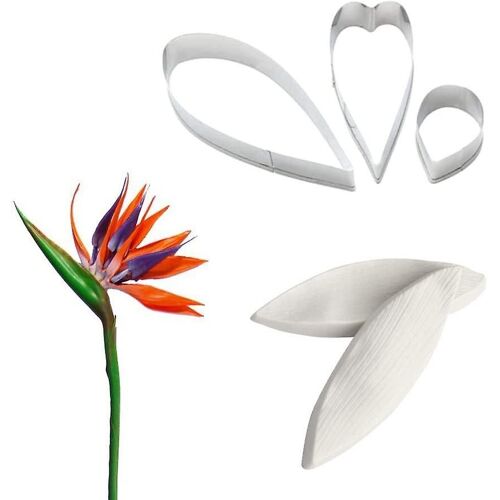 Moules De Veinage Floral Et Coupe-Fondant Gomme Strelitzia Ensemble D'outils De Fabrication Pour La Décoration De Gâteaux