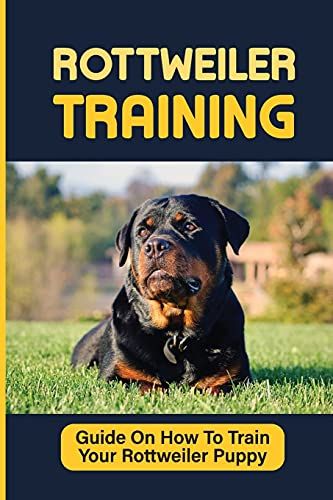 Rottweiler Puppies Training: How To Raise Safe, Potty Training, What Food To Feed, Dog Games, And More: Crate Training A Rottweiler Puppy Crying