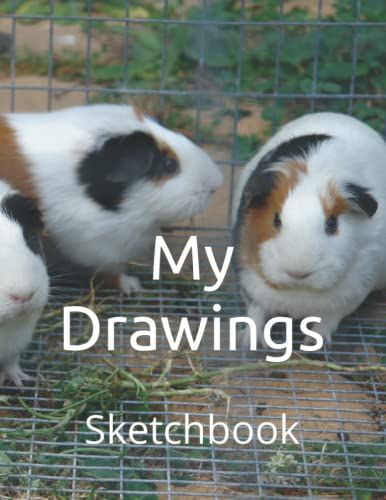 My Drawings: Sketchbook
