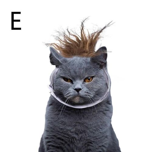 Déguisement Pour Animaux De Compagnie L8b5, Couvre-Chef Élastique Réglable Avec Chien, Perruque Pour Halloween, Accessoires Pour Animaux De Compagnie, Robe Douce Pour Chat