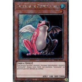 Yu-Gi-Oh ! Deck Frog Monarch Prêt Pour Être Jouer En Français Format Edison