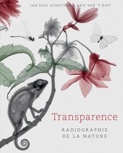 Transparence - Radiographie De La Nature