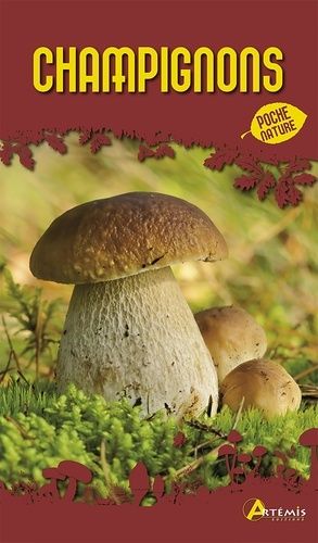 Champignons