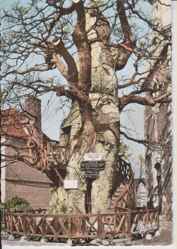 Carte Postale D'allouville-Bellefosse (Seine Maritime) - Chêne Millénaire Renfermant 2 Chapelles Superposées