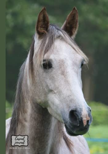 Hardcover Casual Journal Horse Lovers 6: This Is A Useful Hardcover Journal With A Beautiful Horse On The Cover Design.