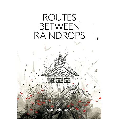 Routes Between Raindrops