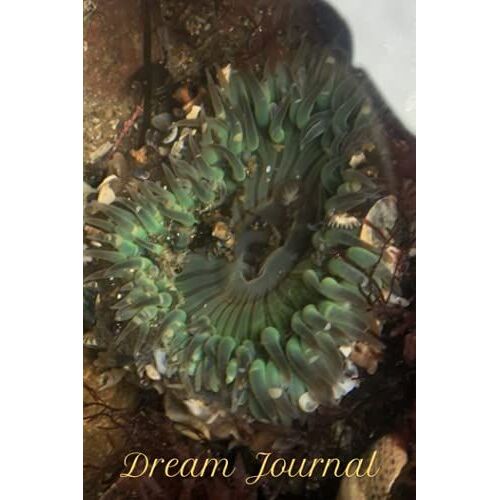 Dream Journal: For Recollecting And Bringing Your Dreams Into Life. Decode Your Dreams, Decode Your Life
