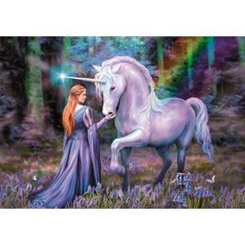 Puzzle Adulte : Une Rencontre Magique Dans La Bois - Anne Stokes - 1000 Pieces Collection Licorne Blanche - Monde Fantastique