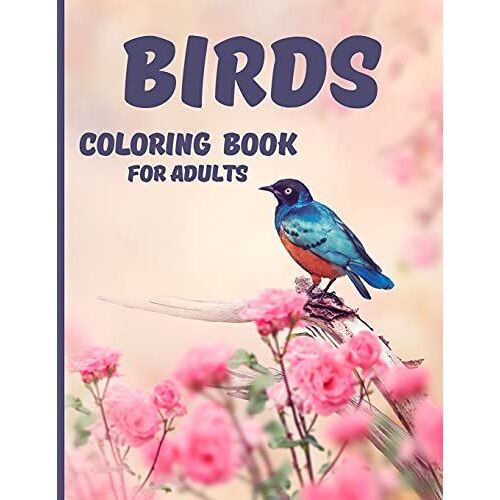Birds Coloring Book