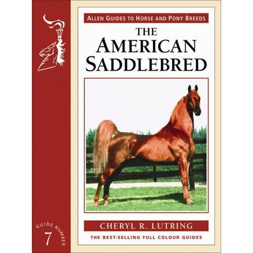 The American Saddlebred