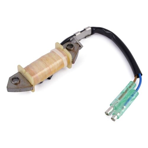 66m-85520-00 Bobine De Charge Pour Yamaha 9.9hp 15hp 13.5hp T9.9 F9.9 F13.5a F15 Moteur Hors-Bord ""Nipseyteko""
