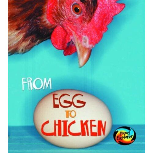From Egg To Chicken