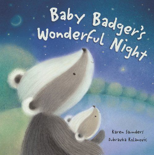 Saunders, K: Baby Badger's Wonderful Night