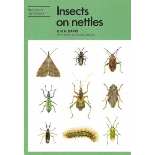 Insects On Nettles