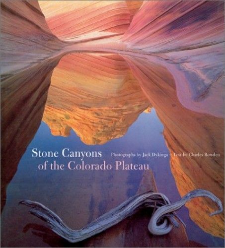 Bowden, C: Stone Canyons