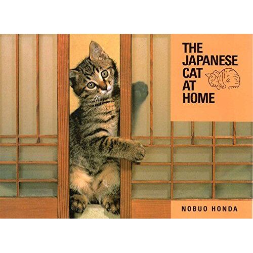 The Japanese Cat At Home